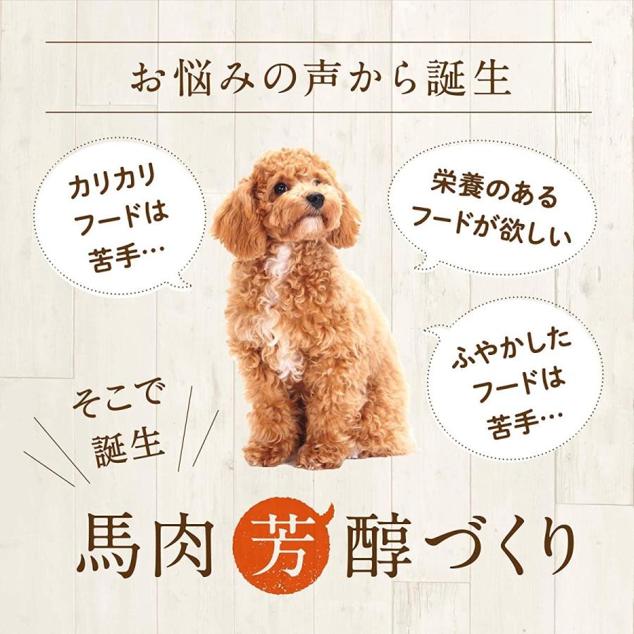 健康いぬ生活 ドッグフード 馬肉 国産 無添加 馬肉芳醇づくり 400g