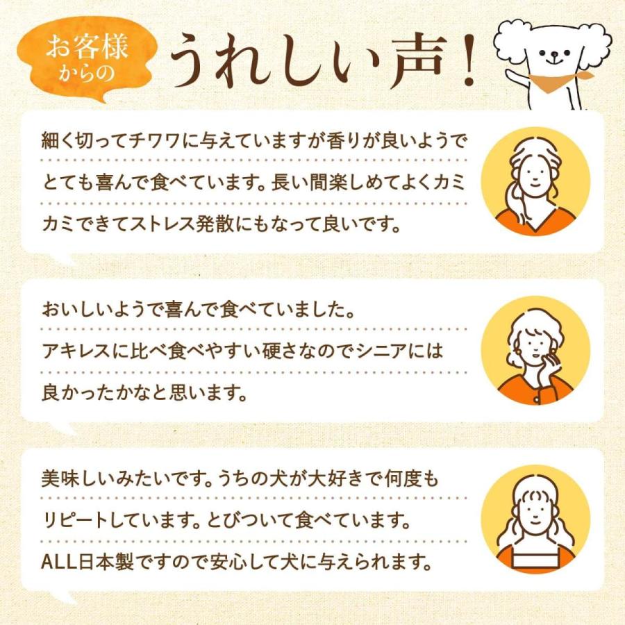 犬 おやつ ガム 無添加 国産 【 馬肉 かみかみ ガム 25g×3袋】 歯磨き ジャーキー 長持ち デンタル シニア 低カロリー 歯石｜kenko-dog｜12