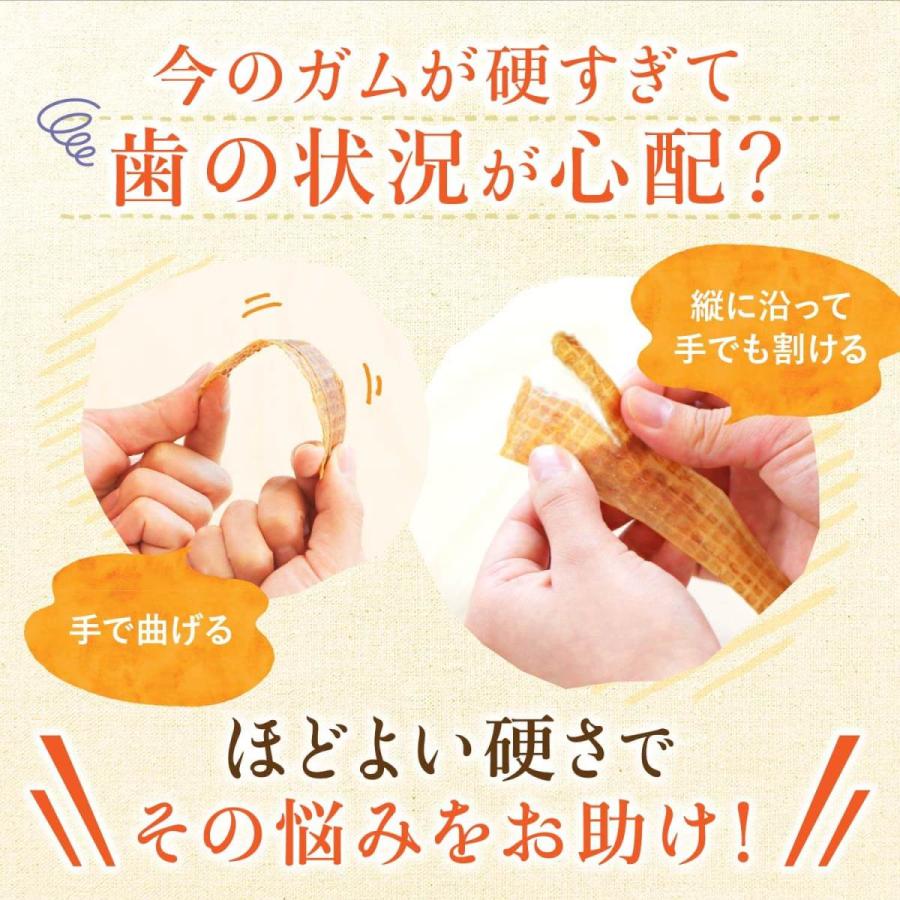 健康いぬ生活 犬 おやつ ガム 無添加 国産 【 馬肉 かみかみ ガム 25g