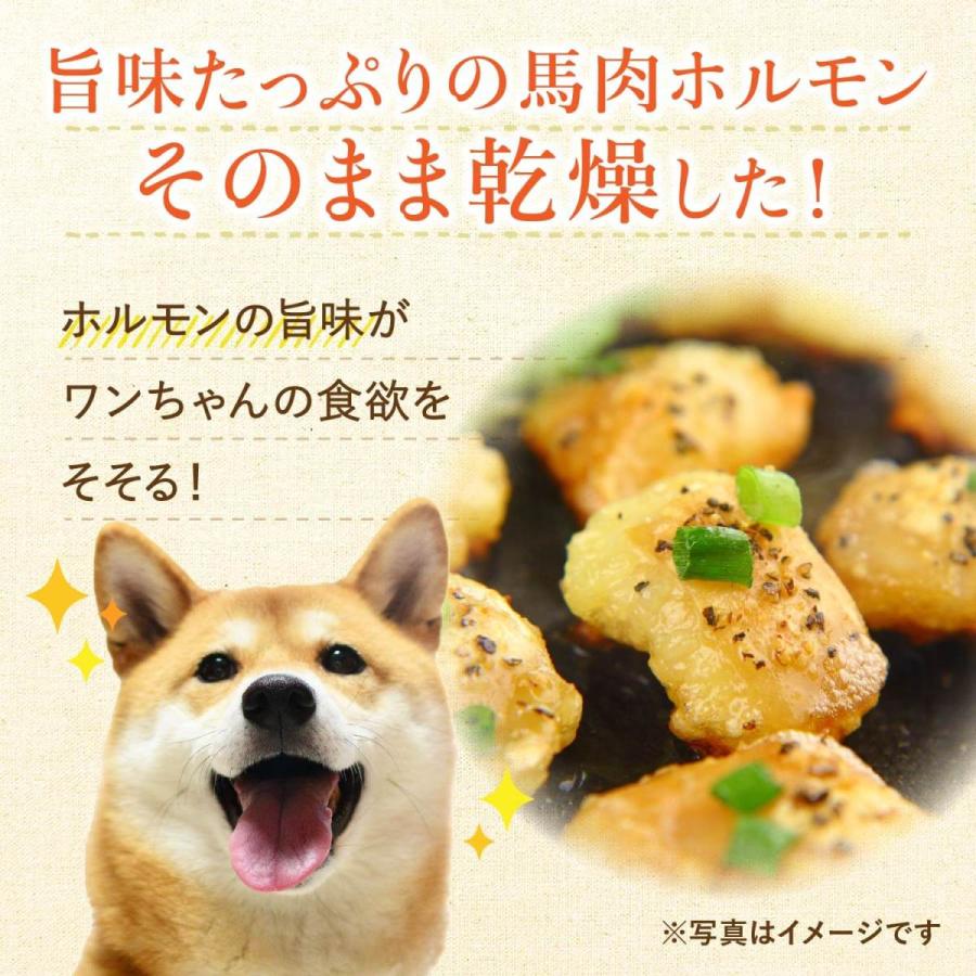 犬 おやつ ガム 無添加 国産 【 馬肉 かみかみ ガム 25g×3袋】 歯磨き ジャーキー 長持ち デンタル シニア 低カロリー 歯石｜kenko-dog｜09