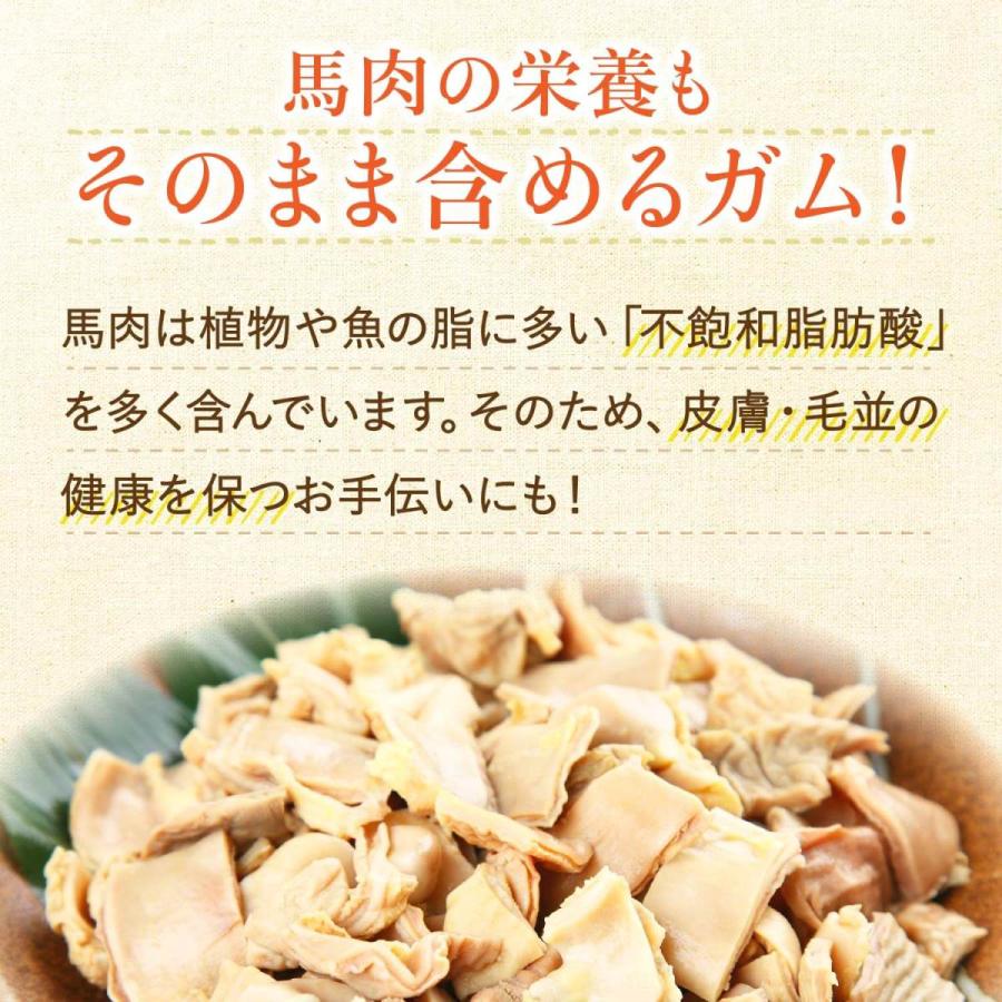 北海道産　鹿肉　ジャーキー　無添加　犬おやつ　犬ガム　デンタルケア　天然 健康いぬ生活 犬 おやつ ガム 無添加 国産 【 馬肉 かみかみ ガム 25g
