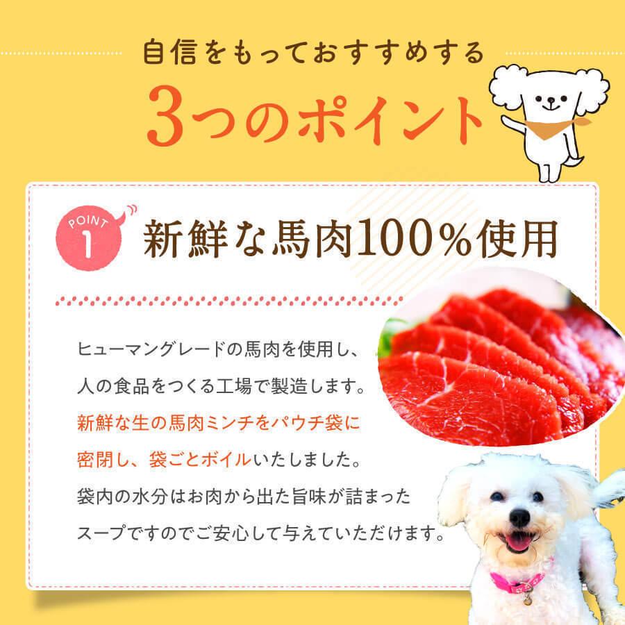 ドッグフード ウェットフード 無添加 ５種類の馬肉選べるお試しセット 400ｇ ５袋 犬 ごはん 手作りごはん 送料無料 手作り 公式 健康いぬ生活 健康いぬ生活 通販 Yahoo ショッピング