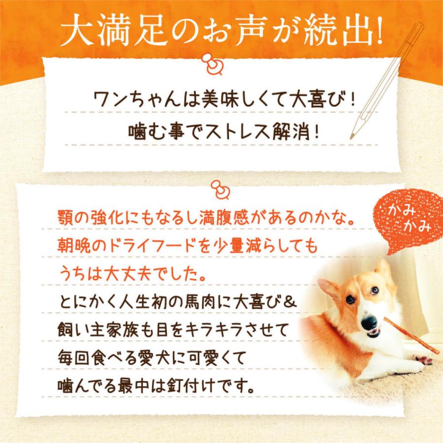 犬 おやつ 無添加 国産 馬肉 アキレス ジャーキー 105g 35g 3袋 ガム 低脂肪 アキレス腱 アキレススティック 長持ち 歯磨き 公式 健康いぬ生活 通販 Yahoo ショッピング