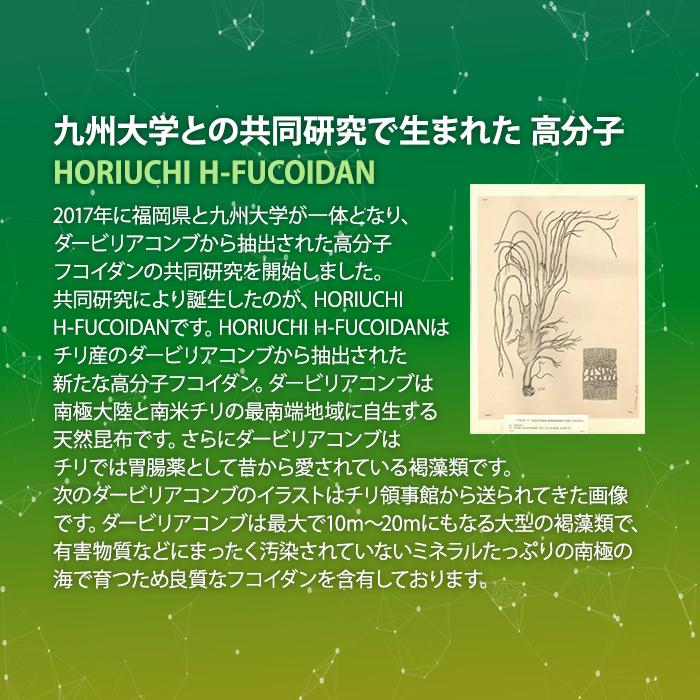 送料無料*シーフコイダンDX 加糖 & 無糖セット 900ml x各1本(計 送料無料*シーフコイダンDX 加糖 & 無糖セット 900ml x各1本(計