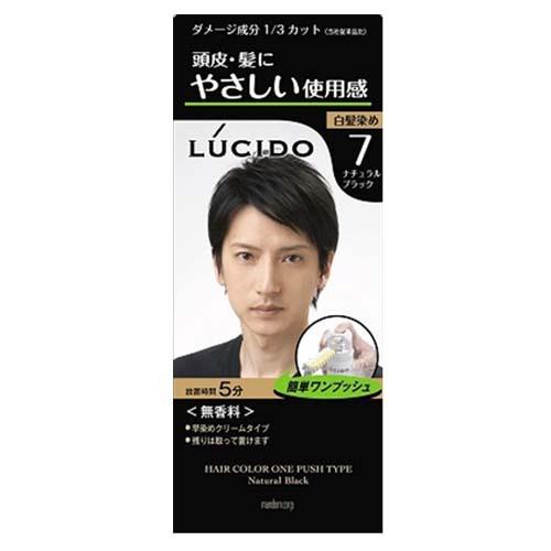LUCIDO（ルシード） ワンプッシュケアカラー ナチュラルブラック (医薬