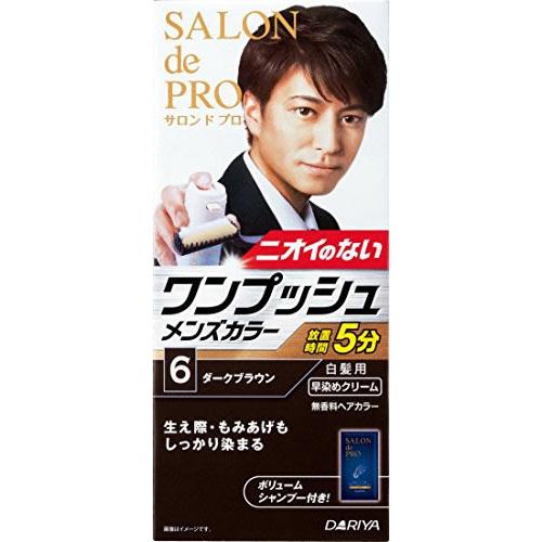ダリヤ サロン ド プロ ワンプッシュメンズカラー (白髪用) 6 ダーク