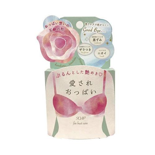 ご希望の際1200円に変更：ペリカン石鹸ポリッシュポリッシュ300ml：美容石鹸 ご希望の際1200円に変更：ペリカン石鹸ポリッシュポリッシュ300ml