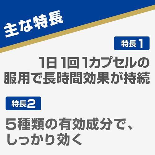 【第(2)類医薬品】エスエス製薬 アネロン「ニスキャップ」10カプセル｜kenko-ex2｜04