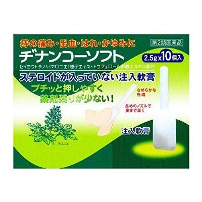 最も優遇 ヂナンコーソフト 10個入 第2類医薬品
