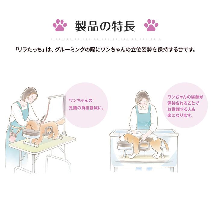 アロン化成 アロン化成(ワンエイド)リラたっち ホームタイプ ハイ240