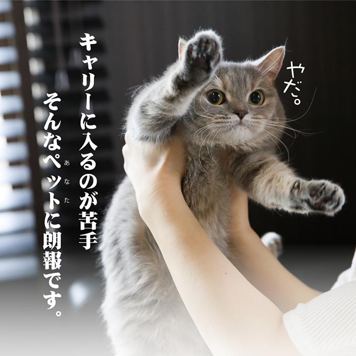 スライド式 カームキャリー S 小型犬 猫 ペット用 キャリーケース ハードタイプ 適応体重9kgまで(ペット用品 キャリー)_2