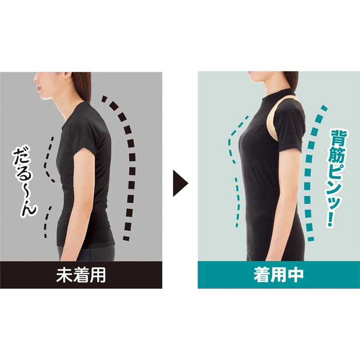 ニーズ 【ゆうパケット配送！送料無料】 Dr.PRO 簡単装着 薄型姿勢