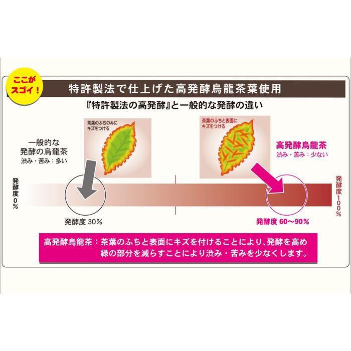 [国太楼]豊かな濃く黒烏龍茶 ティーバッグ 40袋入りx1個(高発酵烏龍茶使用 マイボトル アイス ホット)｜kenko-ex｜03