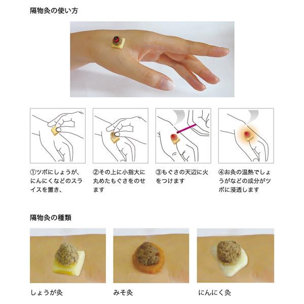 せんねん灸 温灸用もぐさ 寿印 一級品 300g入 : ケンコーエクスプレス