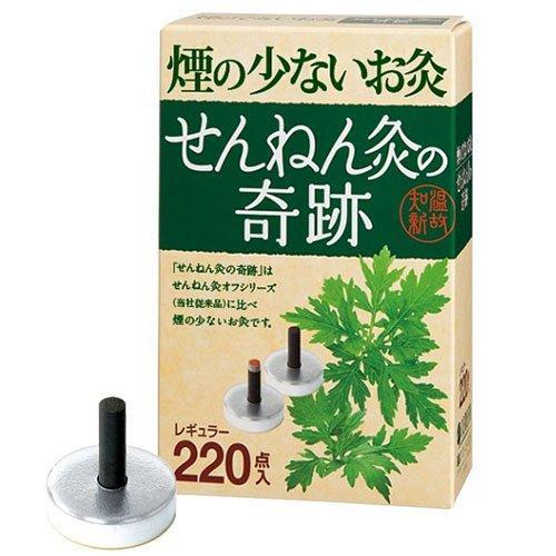 せんねん灸の奇跡 レギュラー 220点入 : ケンコーエクスプレス - 通販