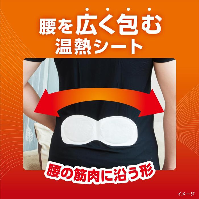 小林製薬 [小林製薬]血流改善 腰ホットン つらい腰痛 神経痛 5枚入