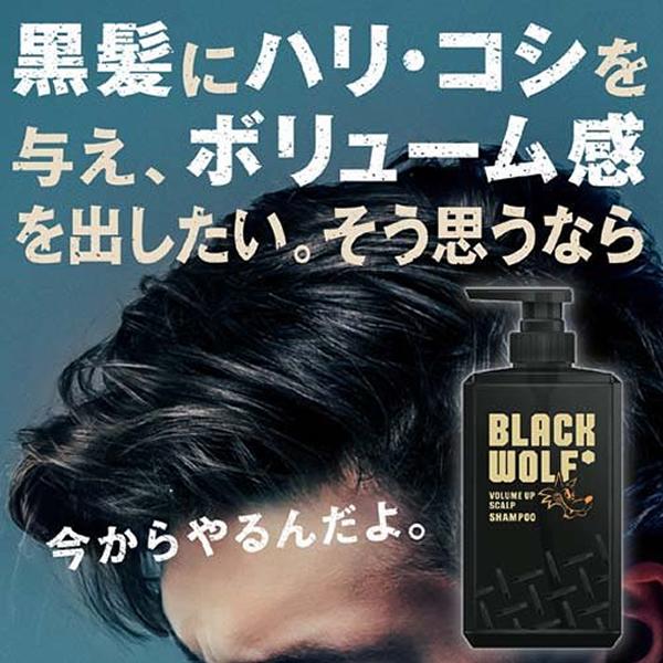 【大正製薬】 [ブラックウルフ] ボリュームアップ スカルプ シャンプー&コンディショナーポンプタイプ  (380mL) (x2個セット)[男性向け]｜kenko-ex｜02