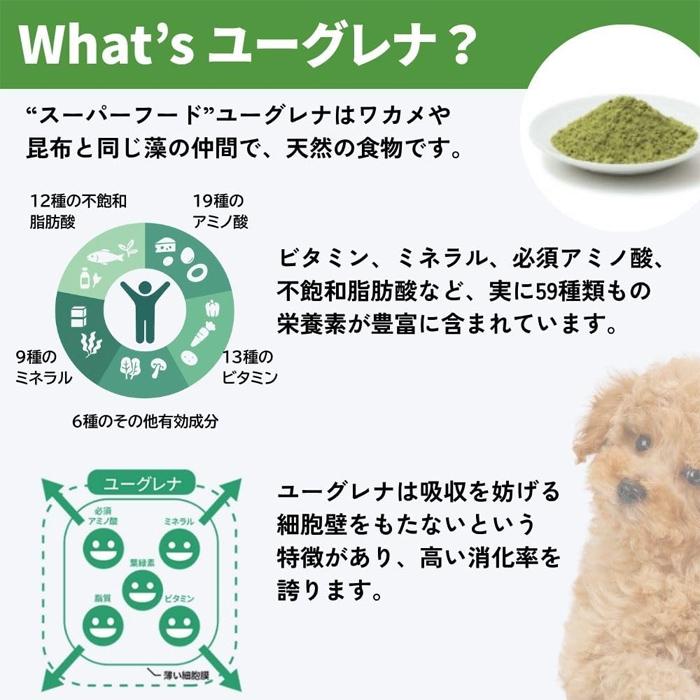 green（グリーン） 阪急ハロードッグ eugreen)ユーグリーン