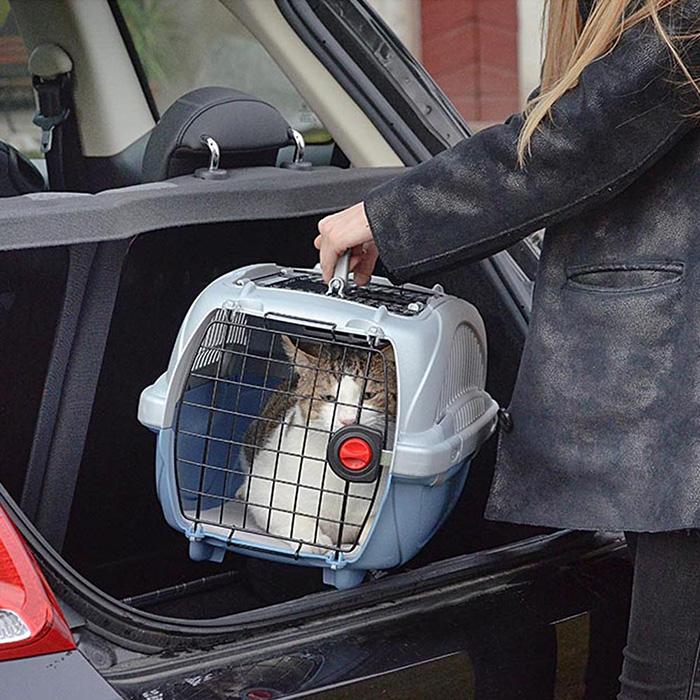 イタリアferplast社製 アトラスDX 10 オープン キャリー※色指定不可 Atlas 犬 猫 小動物 ペット用 通院 外出 おでかけ 旅行(ペット用品)_4
