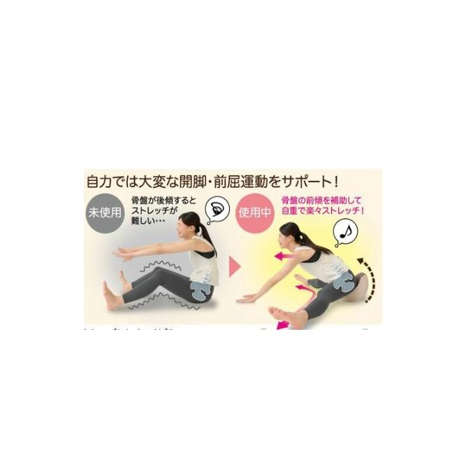 ニーズ 【送料無料】体幹開脚ストレッチクッション(体幹