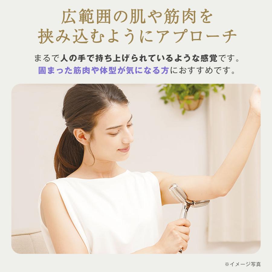 セルシュ Cellsh ボディエステローラー 美容 ダイエット 刺さない 鍼