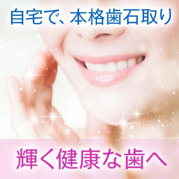 FRIGZ デンタルケア エコノミースケーラー 一般医療機器 歯石除去