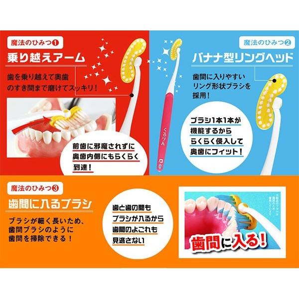 オーラルケア セット デンタルミラー 両頭エキスプローラー 歯ブラシ
