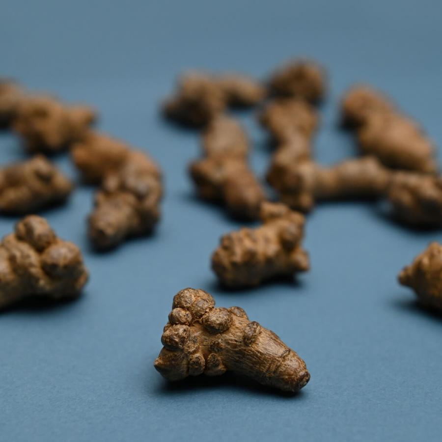 発酵田七人参 225g（1.5g×150包） : それいゆはとむぎ - 通販