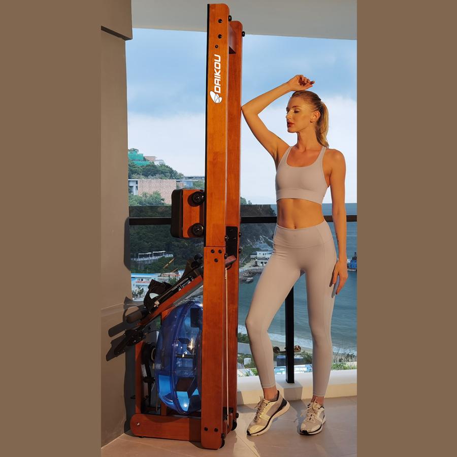 DAIKOU（ダイコー） ローイングマシン ボート漕ぎマシン 家庭用 有酸素