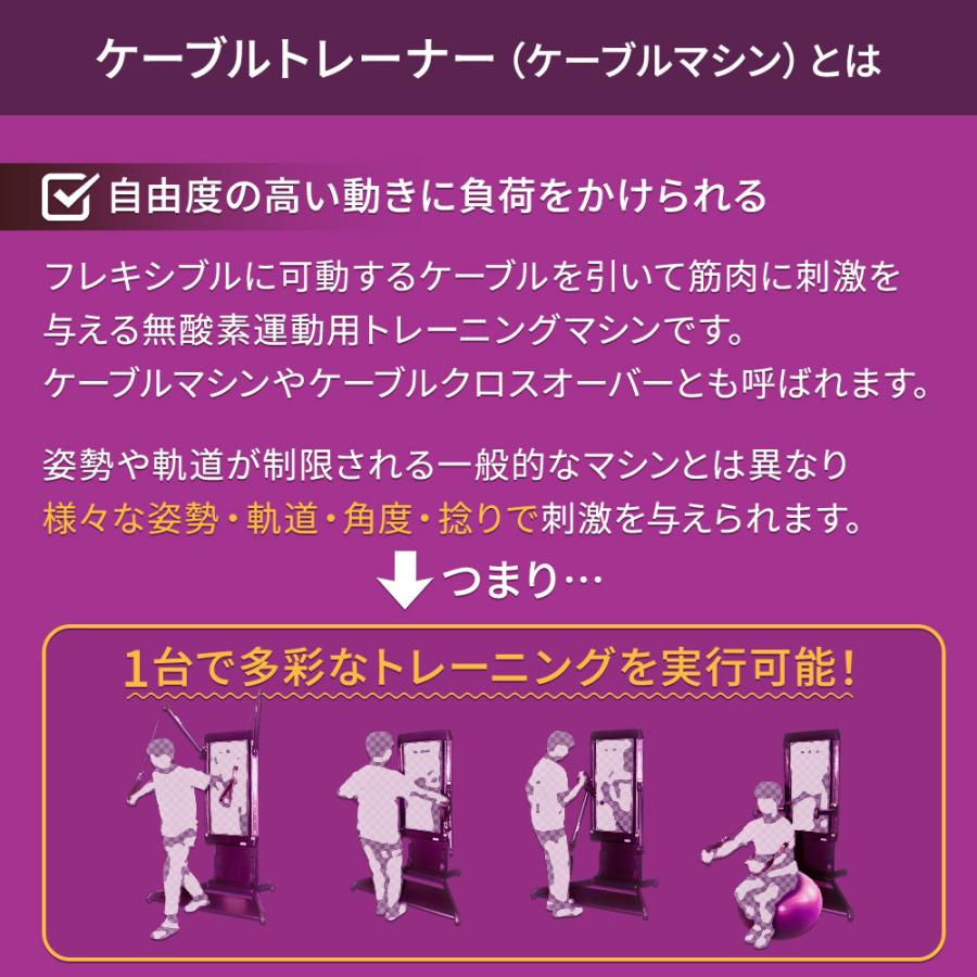 DAIKOU（ダイコー） ケーブルマシン 準業務用 ケーブルトレーナー