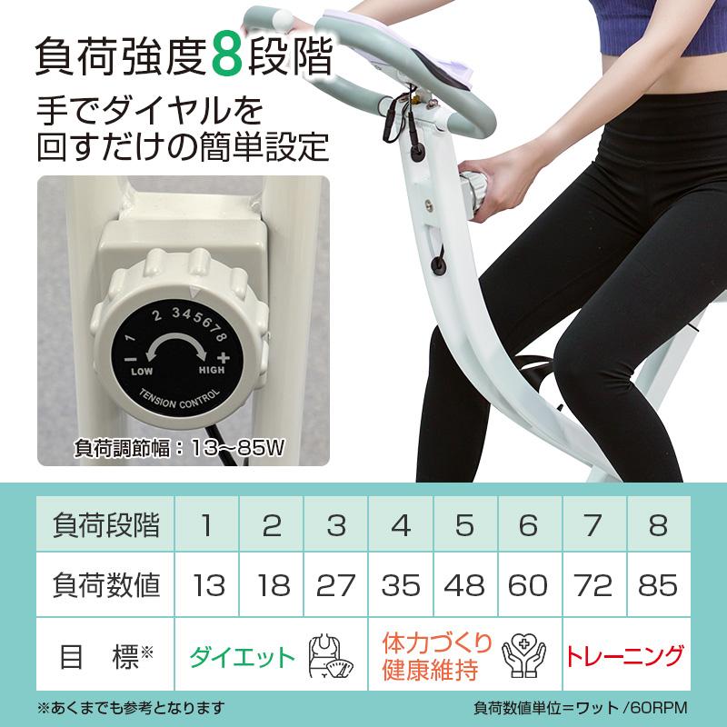 DAIKOU（ダイコー） 【予約 9月上旬再入荷】フィットネスバイク エアロ 