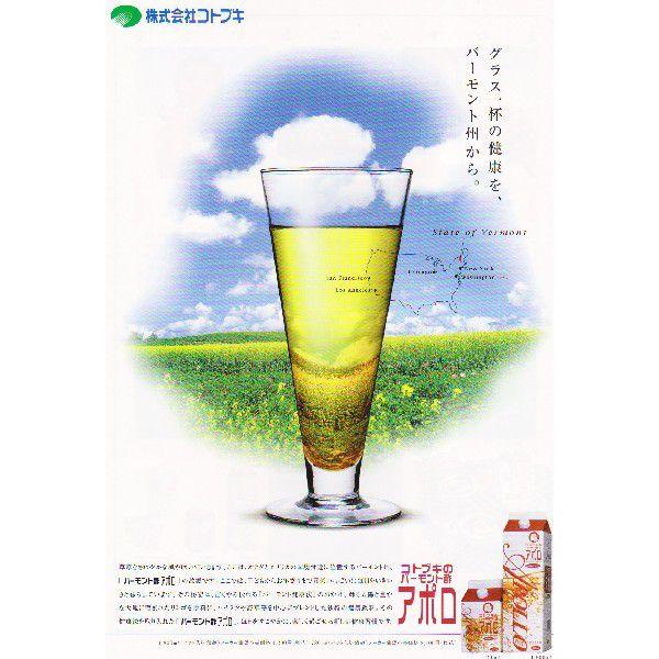 「バーモント酢アポロ」1800ml×徳用1ケース（8本）