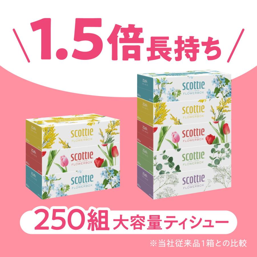 【送料無料・まとめ買い×6個セット】日本製紙クレシア スコッティ フラワーボックス 250組×3箱入 ボックスティッシュ｜kenkoo-life｜02