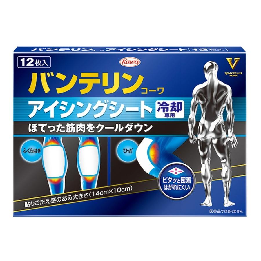 (送料無料・まとめ買い×20個セット)興和 バンテリンコーワ アイシングシート 冷却専用 12枚入