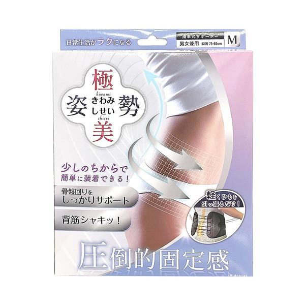 (送料無料・まとめ買い×6個セット)向日葵 極美姿勢 きわみしせい Mサイズ 滑車式サポーター 男女兼用の画像