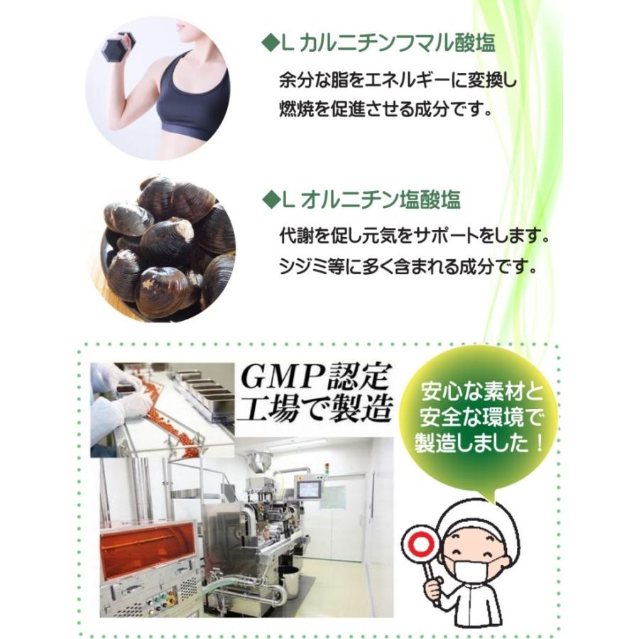 ファビギム 大容量360粒 (約6ヶ月分) サラシア ファビノール 白インゲン豆 ギムネマシルベスタを高配合 :ki-san-0019:健康一番ヤフーショップ - 通販 - Yahoo!ショッピング ファビギム 大容量360粒 (約6ヶ月分) サラシア ファビノール 白インゲン豆 ギムネマシルベスタを高配合 :ki-san-0019:健康一番ヤフーショップ - 通販 - Yahoo!ショッピング