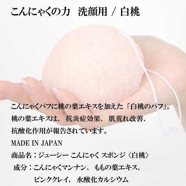郵便 送料無料」 こんにゃく の 力 洗顔 スポンジ 選べる6種類