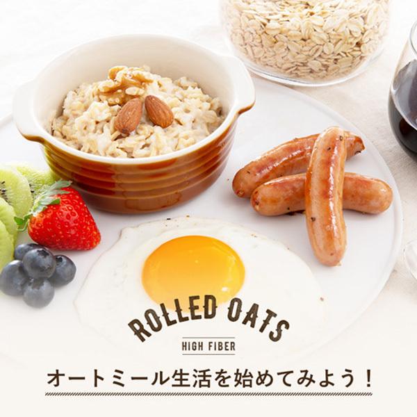 メール便Y 1通(2袋まで)210円 オートミール 500g オーツ麦 たんぱく質