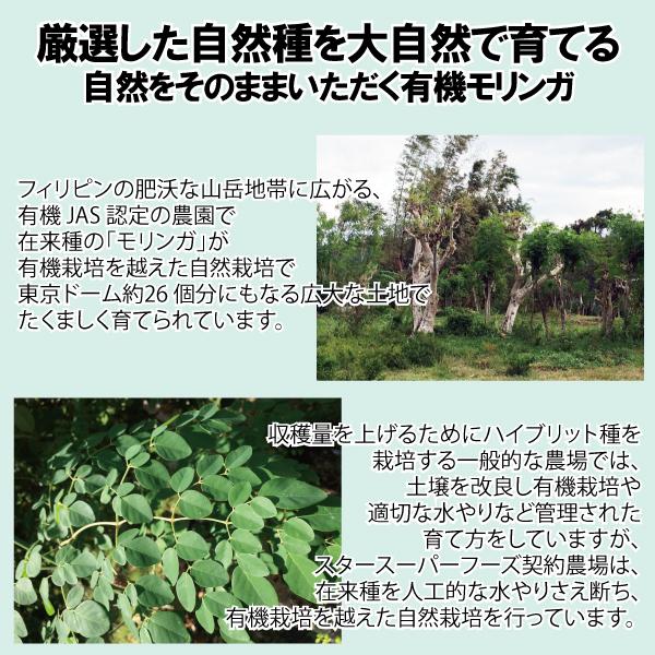 メール便Y 送料無料 有機 モリンガ タブレット 300 粒 オーガニック