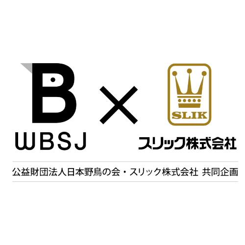 即配 SLIK スリック 三脚 PloverTarsus プルーバーターサス 日本 即配 SLIK スリック 三脚 PloverTarsus プルーバーターサス 日本