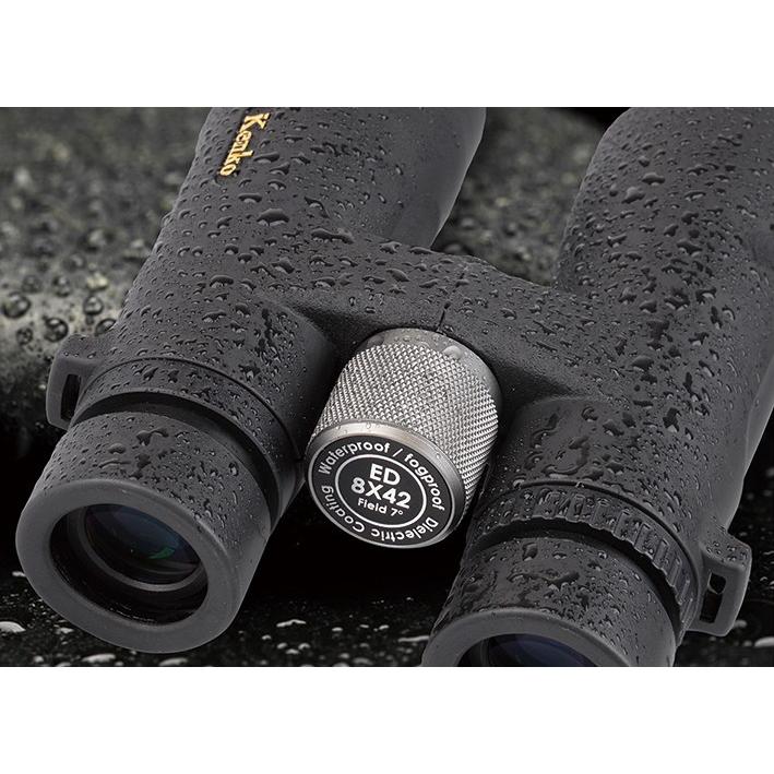 ケンコー・トキナー 即配 双眼鏡Avantar アバンターED 8×42 ED