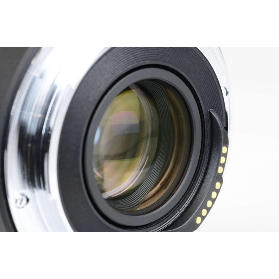 ケンコー・トキナー（KenkoTokina） 即配 2倍 テレプラス HD Pro 2X