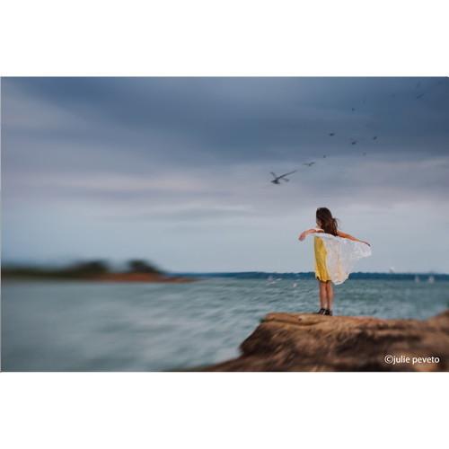 取寄 LENSBABY レンズベビー コンポーザープロII W/スウィート80 フジXマウント