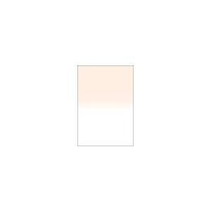 即配 LEE リー フォトグラフィック樹脂フィルター 100X150mm角 ハーフカラーグラデーション コーラルNo.2 アウトレット ネコポス便