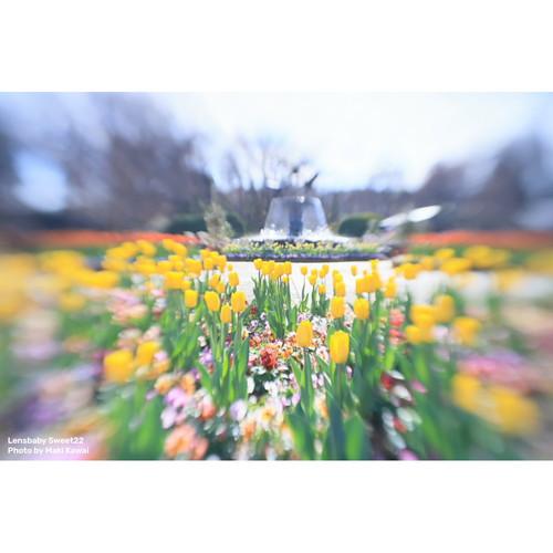 即配 KT Lensbaby Sweet 22 Kit スウィート22キット ソニーEマウント  LENSBABY レンズベビー｜kenkotokina｜11