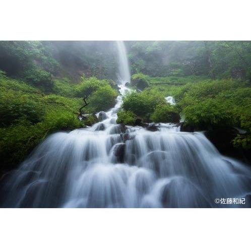 即配 COKIN コッキン NUANCES (ニュアンス) EXTREME(エクストリーム) 全面NDフィルター ND8 Mサイズ(Pシリーズ) NXP8 ネコポス便_1