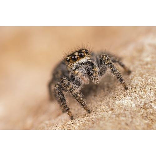 レンズ(ズーム) SONY E 70-350mm F4.5-6.3 G OSS SEL70350G SONY E 70-350mm F4.5-6.3 G OSS SEL70350Gのクチコミ - 価格.com