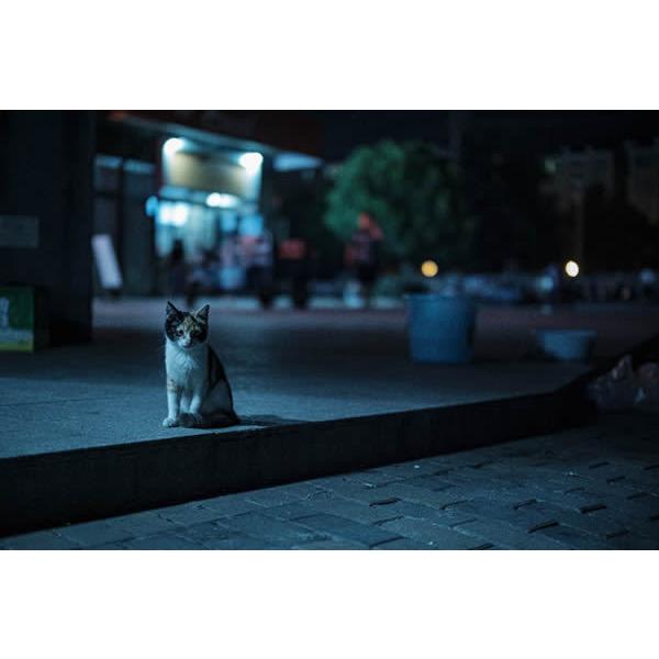 取寄 (SJ) LAOWA ラオワ 交換レンズ Argus 33mm F0.95 ソニーE ※詳しい