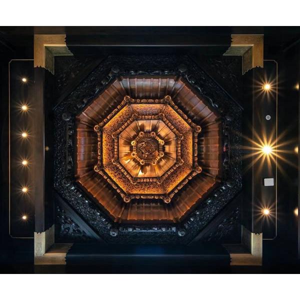 LUMIX S 18-40mm F4.5-6.3 S-R1840 パナソニック 取寄 (SJ) LAOWA ラオワ 交換レンズ 15mm F4.5 R Zero-D Shift ニコンF