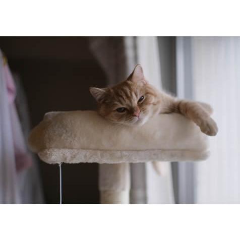 レンズ(ズーム) TAMRON 18-270mm F3.5-6.3 Di II VC 取寄 (SJ) KAMLAN カムラン 交換レンズ KL 32mm F11 ソニーEマウント